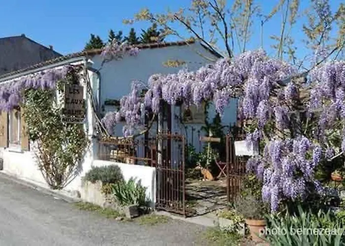 Apartamento Maison Coquelicots - 4 Personnes - Jardin